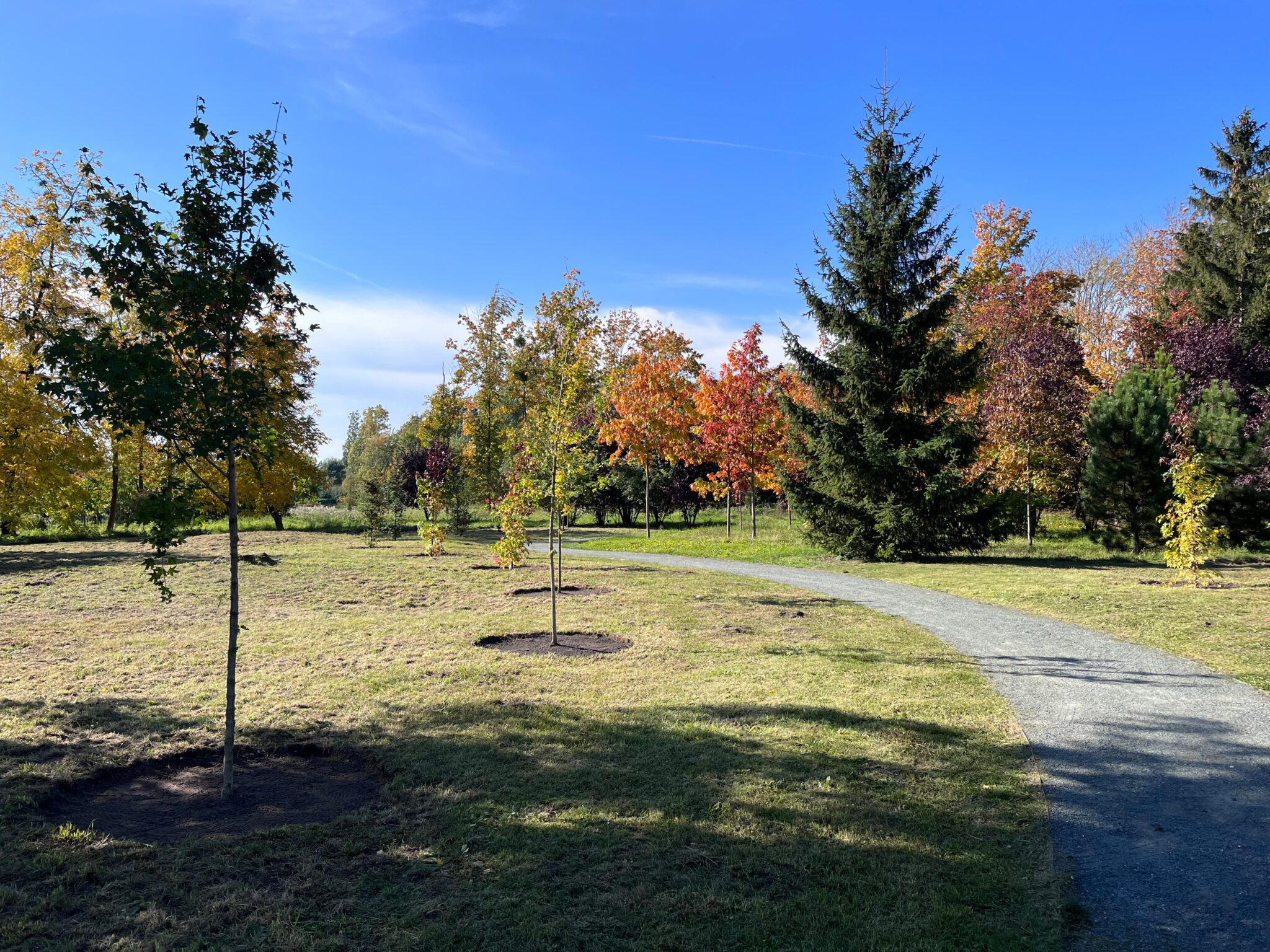 pielegnacja-ogrodow-sroda-wielkopolska